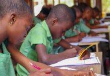 Pupils Under EKOEXCEL Conclude Term 1, Anticipate Improved Performances In Term 2