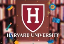 If You Use Any Of These 7 Phrases Every Day, You May Have Low Emotional Intelligence’, Says Harvard Psychologist