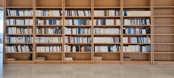 bookcase-library-books-book-row-600nw-2484602235