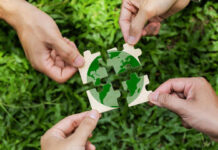 Sustainability Leadership Needs Targeted Capacity Building