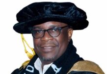 From Igbo Apprenticeship To Modern Professional Practice