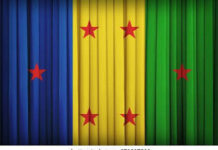 Ogoni Group Target 1,000 Teachers To Strengthen Primary Education